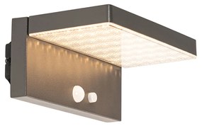 Candeeiro de parede exterior cinzento escuro com LED e luz regulável a energia solar - Sunnie