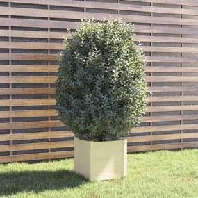 810536 vidaXL Vaso de jardim 40x40x40 cm madeira de pinho maciça branco