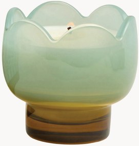 Vela perfumada em vidro Tulip (glicínia e salgueiro)