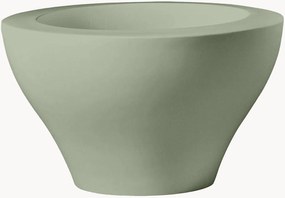 Vaso Ming