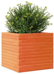 Vaso/floreira de jardim 50x50x45,5 pinho maciço castanho mel