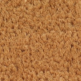 Tapete de porta semicircular 40x60 cm fibra coco tufada natural