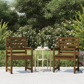 824056 vidaXL Cadeiras de jardim 2 pcs 60x48x91 cm pinho maciço castanho-mel