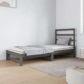 3124749 vidaXL Estrutura sofá-cama de puxar 2x(90x190) cm pinho maciço cinza