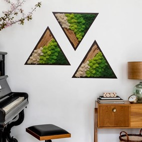 Autocolante Tríptico triangular - Ilhas de musgo e madeira quente