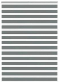 vidaXL Cortina de zebra 155x200 cm largura do tecido 150,9cm poliéster
