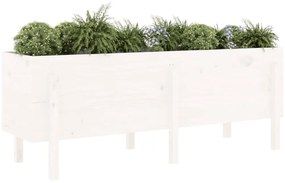 Canteiro elevado de jardim 160x50x57 cm pinho maciço branco