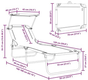 Espreguiçadeiras dobráveis 2 pcs com toldo em tecido Oxford cinza 600D