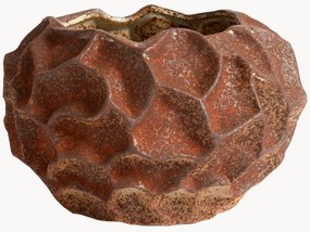 Jarra Soil