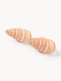 Saleiro e pimenteiro pintado à mão em dolomite Shell, conjunto de 2