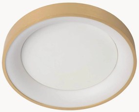 Candeeiro de teto LED regulável Vidal