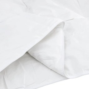 Edredão com travesseiro 3 pcs Branco 200 x 220 cm Penugem