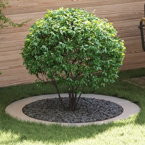 vidaXL Plantadeira de Aço Inoxidável Aço Inoxidável Grande