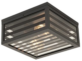 Candeeiro de teto exterior moderno preto em vidro 2 luzes IP44 - Reims Moderno