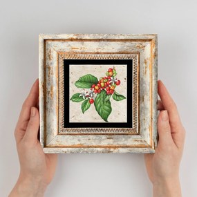 Quadro Decorativo com Moldura TC195327 – Multicolor – 20 x 20 cm