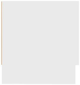 Roupeiro 100x32,5x35 cm derivados de madeira branco