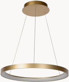 Candeeiro suspenso LED regulável Vidal