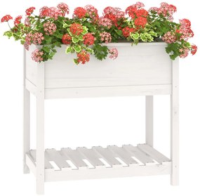 Vaso/floreira com prateleira 82,5x54x81 cm pinho maciço branco
