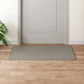 vidaXL Tapete/passadeira 50x100 cm aspeto sisal prateado