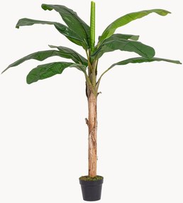 Plantas artificiais Banana, conjunto de 2