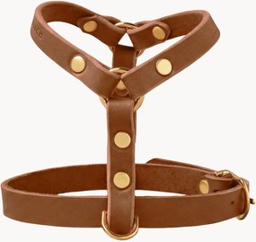 Peitoral para cão em pele Y-Harness, vários tamanhos
