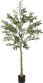 HOMCOM Oliveira Artificial Planta Artificial Decorativa de Interior com 32 Azeitonas Decoração Ø15x150 cm Verde | Aosom Portugal