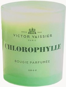 Vela perfumada artesanal Chlorophylle (tulipas, vetiver, fresia)