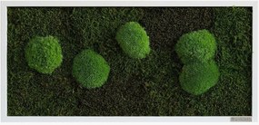Quadro emoldurado artesanal com musgo Forest & Ball Wild