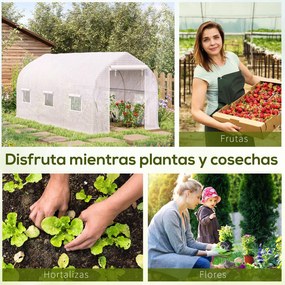 Estufa Tipo Túnel 400x200x200cm Estufa de Jardim com 6 Janelas Transpi