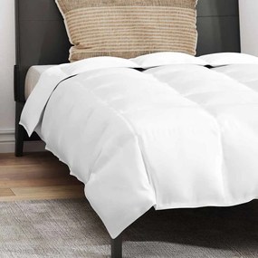 Edredão com travesseiro 2 pcs Branco 155 x 220 cm Penugem