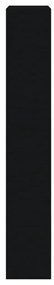 Sapateira 60x21x125,5 cm derivados de madeira preto