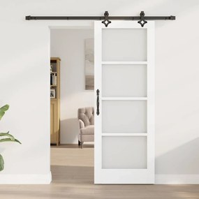 Conjunto de Porta Deslizante Conjunto de 2 Branco e Preto