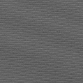Toldo lateral retrátil 220x500 cm antracite