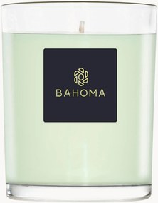 Vela perfumada artesanal Alchemy (Primrose, Amberwood)