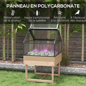 Mini-estufa com pés, dimensões: 60L x 57l x 103H cm, com teto duplo que se abre; painéis de policarbonato, aço e madeira de abeto tratada