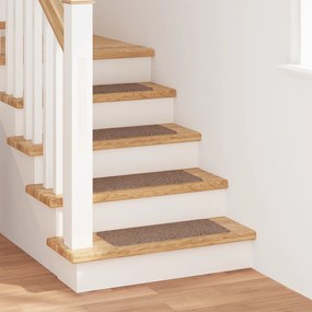 Tapetes de Escada vidaXL com Fundo de Látex Marrom 25x60 cm