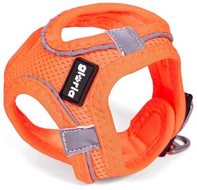 Arnês para Cães Gloria Air Mesh Trek Star Ajustável Laranja Tamanho Xxxs (18-20 cm)