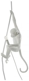 The Monkey Lamp - Suspenso