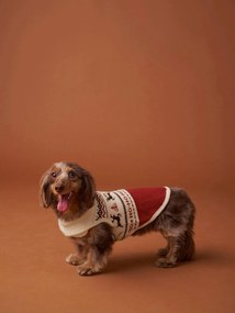 Camisola de Natal Family, para cão vermelho