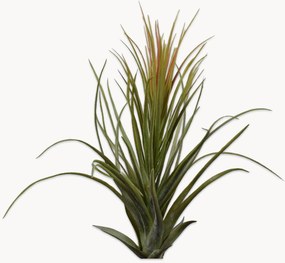 Flores artificiais Tillandsia, conjunto de 2