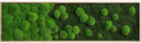 Quadro emoldurado artesanal com musgo Forest & Ball Rain