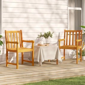 vidaXL Cadeiras de jardim 2 pcs madeira de acácia maciça