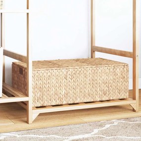 vidaXL Caixa de Armazenamento Natural 60 x 38 x 20 cm Jacinto de água