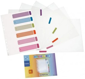 Separadores em Polipropileno A4 305x245mm Intercolor – Firmo