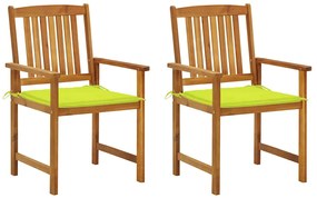 vidaXL Cadeiras de jardim com almofadões 2 pcs acácia maciça