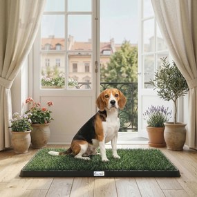 Sanita para Cães com Relva Artificial, 76x50,5 cm, Bandeja Higiênica para Cães para Treino com Drenagem, Verde