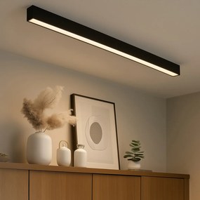 Plafon Preto incl. LED Regulável em 3 Níveis 2700-4000K com Interruptor DIP - Keane