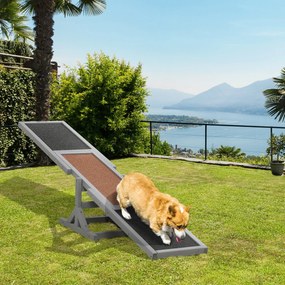 Equipamento de treino para cães - Baloiço de agilidade desportiva, em madeira de abeto pré-oleada, com feltro betumado antiderrapante cinzento-escuro