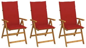 vidaXL Cadeiras de jardim dobráveis c/ almofadões 3 pcs acácia maciça