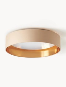 LED Ceiling Lamp Mallory